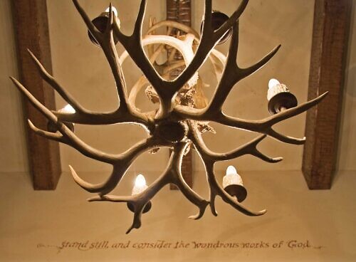 DFE-Antler-Light
